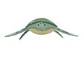 Turtle Character. Green Sea Or Ocean Tortoise Swimming. Wildlife Animal In Shell. Flat Vector Illustration Isolated On