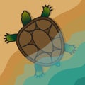 Turtle coming out of the water on the shore. Vector Image. Royalty Free Stock Photo