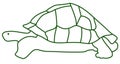 Turtle contour icon isolated on white