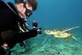 Turtle Curiosity - Underwater Photographer Royalty Free Stock Photo