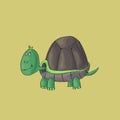 Turtle cute on green background. Isolated cartoon vector character