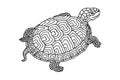 Turtle with a decorative pattern. Vector stock illustration eps 10. Hand drawing. Outline Royalty Free Stock Photo