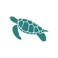 Turtle design vector illustration, Creative Turtle logo design concepts template, icon symbol Royalty Free Stock Photo