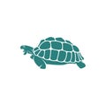Turtle design vector illustration, Creative Turtle logo design concepts template, icon symbol Royalty Free Stock Photo