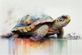 Turtle drawing with bit of watercolour Royalty Free Stock Photo