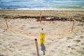 Turtle egg nests cordoned off on Miami Beach