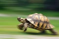 A turtle that fast runs in blur background .generative AI