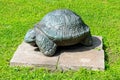 A turtle figure made by Zurab Tsereteli in the Governor`s Garden in Yaroslavl, Russia