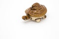 Turtle figurine