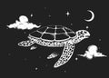 turtle flies in the night sky Royalty Free Stock Photo