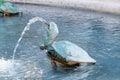 Turtle fountain Royalty Free Stock Photo