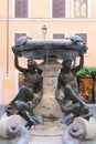 Turtle fountain in Rome Royalty Free Stock Photo