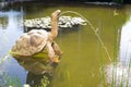 Turtle fountain spitting water outdoors Royalty Free Stock Photo