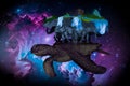 A turtle with four elephants and a flat planet Royalty Free Stock Photo