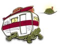 Turtle Goes Camping Royalty Free Stock Photo