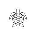 Turtle hand drawn sketch icon.