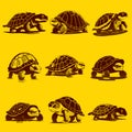 Turtle hand drawn sketch Vector illustration