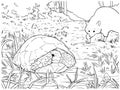 Turtle hiding from a raccoon coloring book page, black and white outline, zoo animals illustration for children
