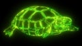 Turtle icon. Cartoon video of turtle icon for web