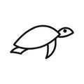 turtle icon linear vector graphics sign Royalty Free Stock Photo