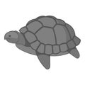 Turtle icon monochrome