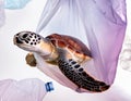 Turtle inside a big plastic bag in ocean, underwater Royalty Free Stock Photo