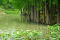 Turtle Island Lake Tai Wuxi China