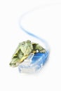 Turtle on LAN cable Royalty Free Stock Photo