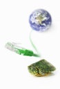 Turtle, Lan cable and world globe Royalty Free Stock Photo