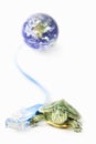 Turtle, Lan cable and world globe Royalty Free Stock Photo