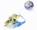 Turtle, Lan cable and world globe Royalty Free Stock Photo