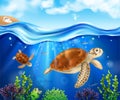 Turtle Life Cycle Background