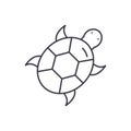 Turtle line icon concept. Turtle vector linear illustration, symbol, sign Royalty Free Stock Photo