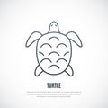 Turtle line icon isolated on white background.