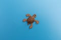 nature autumn craft for kids, turtle made of walnuts and recycled paper Royalty Free Stock Photo