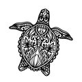 Turtle mandala ocean animal.Wild reptile isolated in white background.Summer underwater marine.