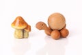 Turtle and mushroom Royalty Free Stock Photo
