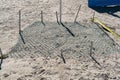 Turtle nest on the beach baja california sur mexico