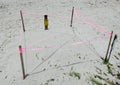 Turtle Nest on Key Biscayne