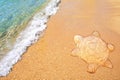 Turtle out of sand on the seashore. Sea wave with foam on the beach. The background template of the sea, ocean. summer vacation in