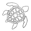 Turtle outline design plain black