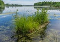 Turtle Pad at Baxter Conservation Area