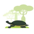 Turtle painted Royalty Free Stock Photo