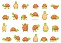 Turtle pet icons set cartoon vector. Reptile shell