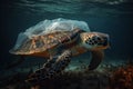 A turtle with a plastic bag attached symbolizes ocean pollution