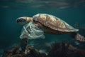 A turtle with a plastic bag attached symbolizes ocean pollution