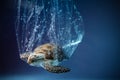 Turtle in plastic bag in ocean. Platic pollution problem. World oceans day concept. Environment concept. Royalty Free Stock Photo