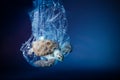 Turtle in plastic bag in ocean. Platic pollution problem. World oceans day concept. Environment concept. Royalty Free Stock Photo