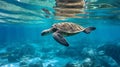 Turtle among plastic and garbage pollution in the ocean. Packages and bottles in water.