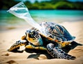 Turtle with plastic trash.